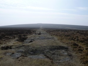 Hameldown tor looking towards Hameldown beacon