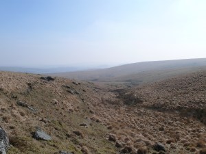 Winney's Down brook