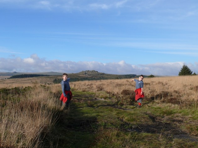That way to Bellever Tor