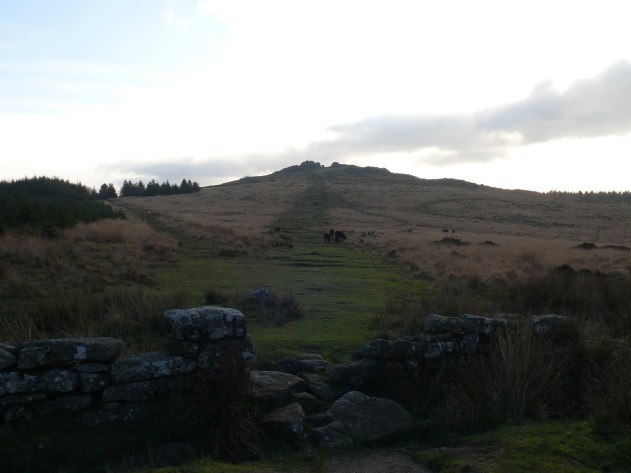 Bellever Tor from the boundary wall
