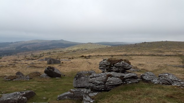 Looking back to Down Tor with Leather Tor beyond from Combeshead Tor