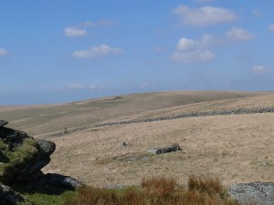 Conies Down Tor in the distance from Beardown Tor