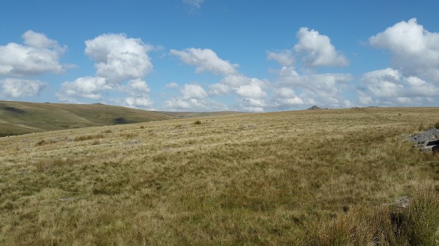 The ridge ahead from Crockern Tor, with Longaford Tor top right