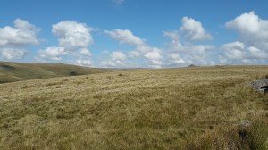 The ridge ahead from Crockern Tor, with Longaford Tor top right