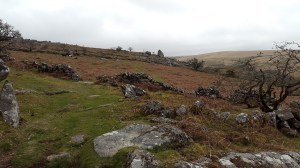 Looking back to Cuckoo Rock from one of the paths to Burrator