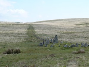 Down Tor Stone Row
