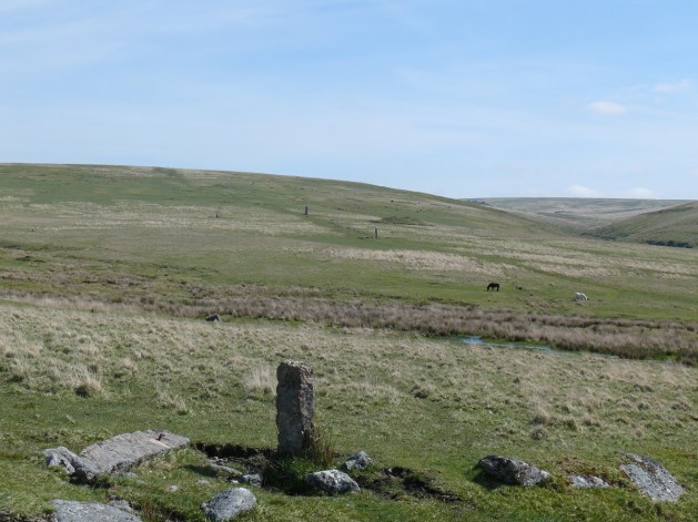 Looking across to Drizzlecombe, the two standing menhirs linked by a stone row with the Giant's Basin just behind