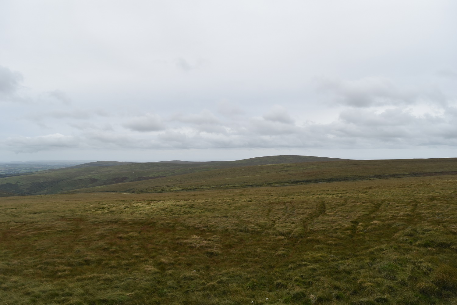 eastern-white-barrow-5