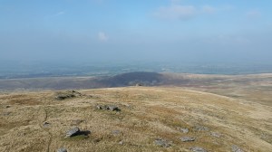 Great Links Tor 1