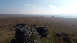 Higher and Lower Dunna Goat from Great Links Tor