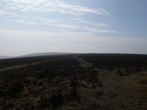 Hzy view to Hameldown Beacon taken from near Broad Burrow