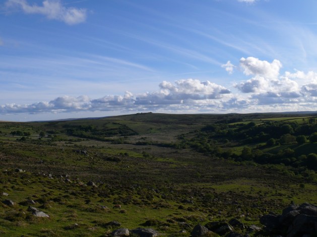 Haytor 10