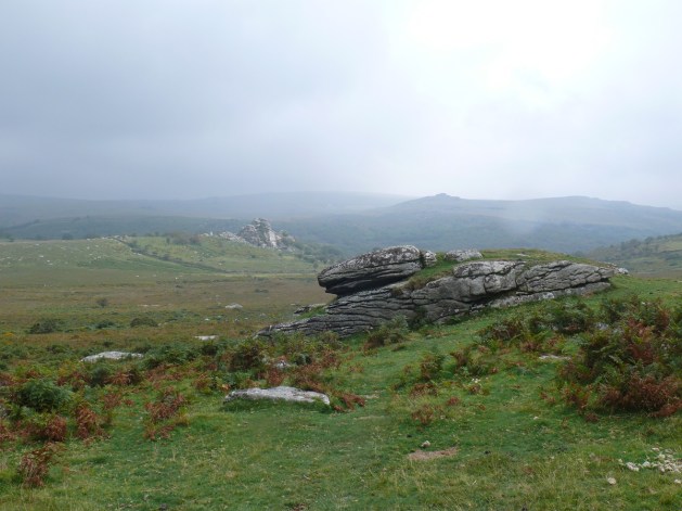Looking to Vixen Tor from Heckwood Tor