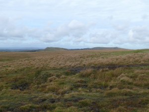 From the lower slopes of Higher Hartor Tor looking to Sheepstor left and Sharpitor right