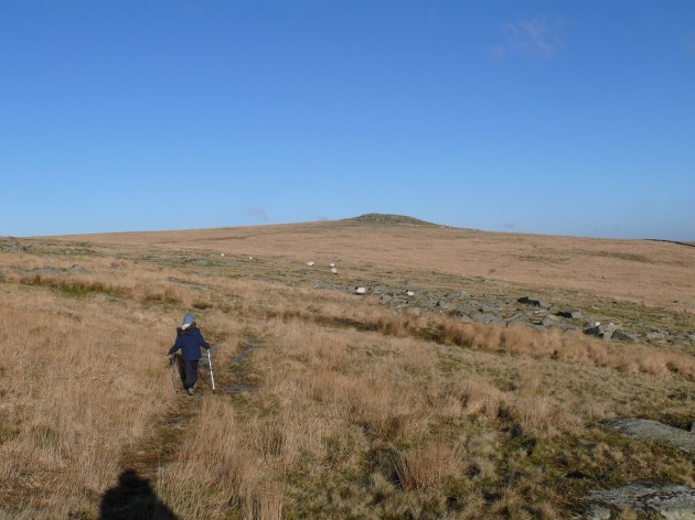 Heading for Higher White Tor from Longaford Tor