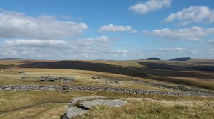 View northwards from Higher White Tor, in the distance on the right is Sittaford Tor and Fernworthy Forest with Lower White Tor beyond the stile.
