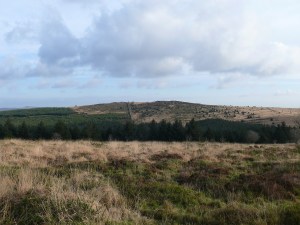 Laughter Tor from the ascent of Bellever Tor