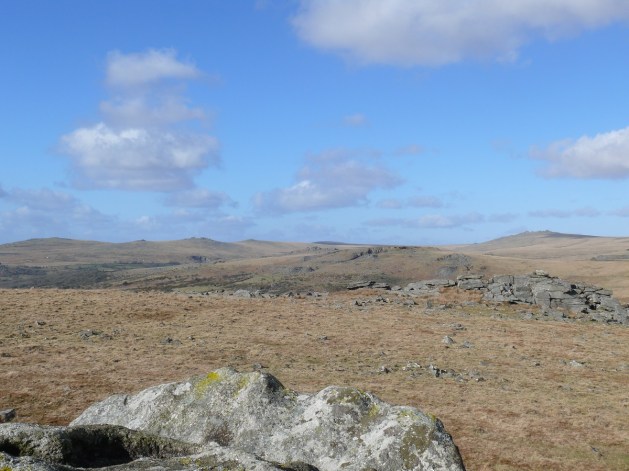 Down Tor in the middle of the photo with Great Mis Tor (right) round to Cox Tor behind. From Leeden Tor