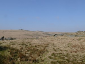 Beardown Tors from Littaford Tor
