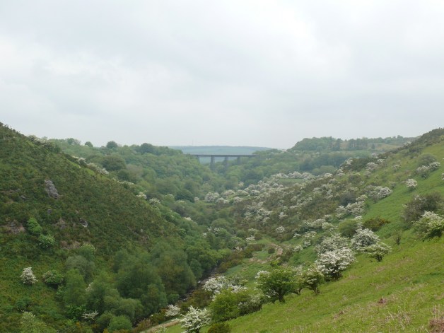 Meldon viaduct