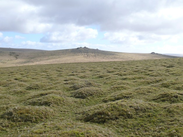 Over the bumps to Great Staple Tor left and Middle Staple Tor right.
