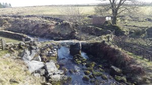 Oakery Clapper Bridge