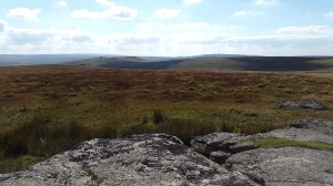 Rough Tor 4