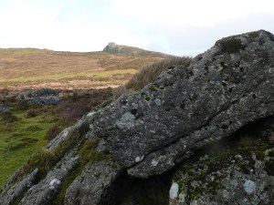 Looking to Haytor from Saddle Tor