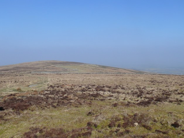Shapley Tor from Hookney Tor