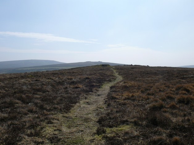 The path to Shapley Tor, looking back into the sun and to Hookney Tor