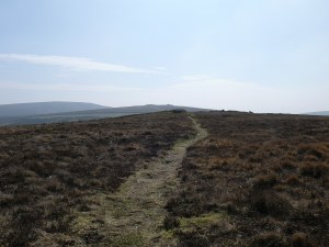 The path to Shapley Tor, looking back into the sun and to Hookney Tor