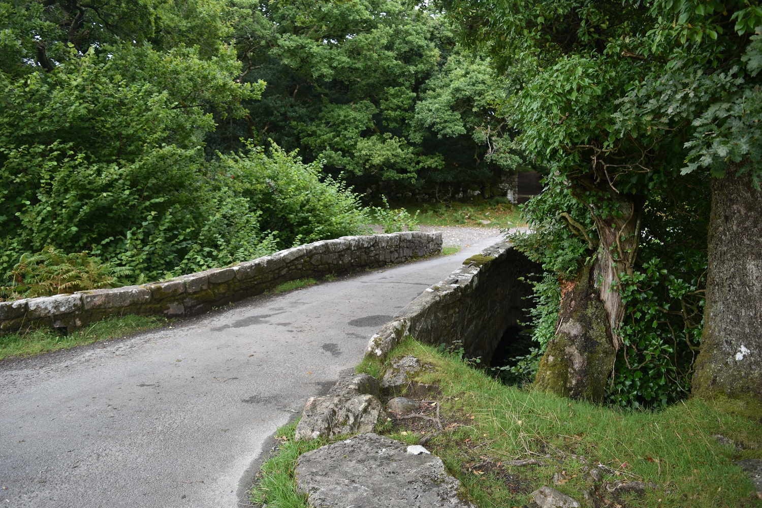 shipley-bridge-3