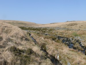 Devonport leat as it splits from the West Dart