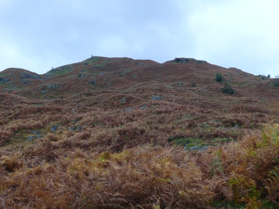 Typical blue skies across the brown bracken