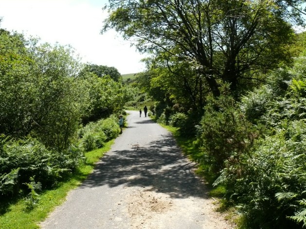 Heading back to the car