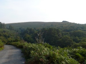 Higher up and we get views to Shipley Tor