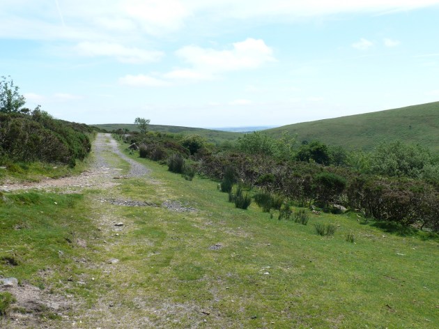 Looking back along the last part of the path