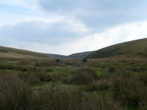Looking back in the direction of Avon Reservoir