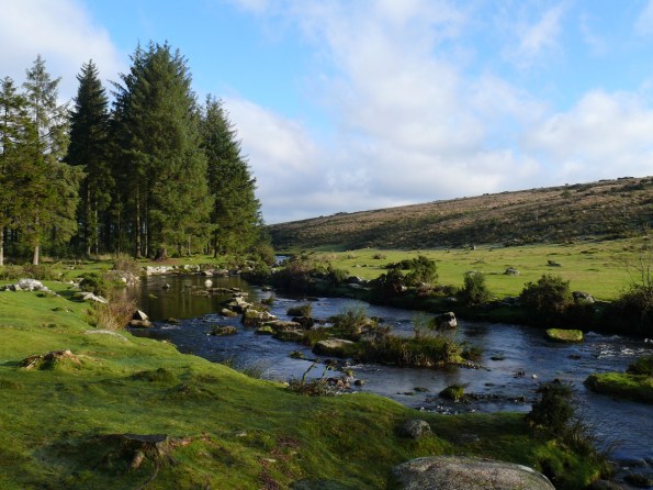 East Dart River, the car park is in the trees to the left