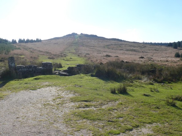 Looking back to Bellever Tor from the boundary walls