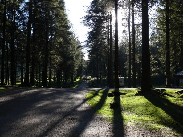 Lovely shadows in the car park