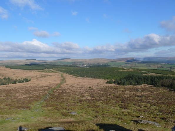 The path down from Bellever Tor