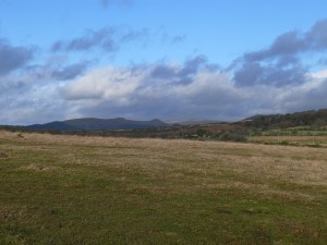 Looking to Peek Hill and Leather Tor from Wigford Down