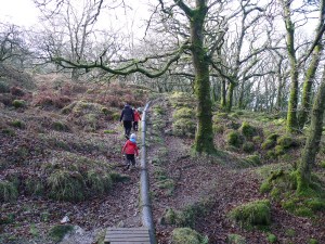 Heading up the pipe path