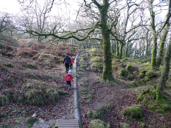 Heading up the pipe path