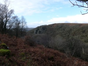 The Dewerstone as we exit North Wood