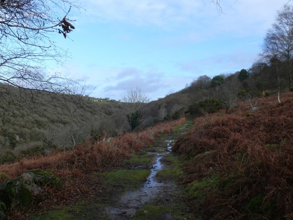 Looking back at North Wood, the Plym valley to the left