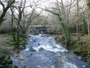 The River Plym and Shaugh Bridge