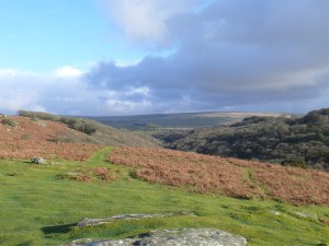 Plym valley to the right, looking back towards Cadover