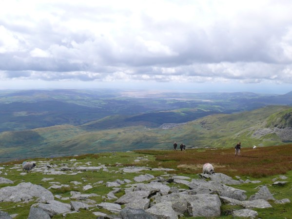 Again that view to the estuary